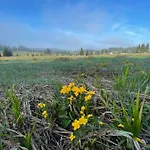 Korytko Horska Kvilda