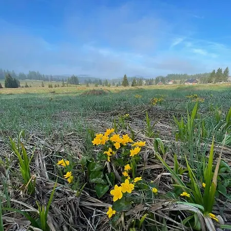 Korytko Горска-Квилда