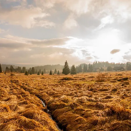 Гостевой дом Korytko